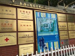 -上海交通大学医学院附属上海儿童医学中心(陆家嘴总院区)