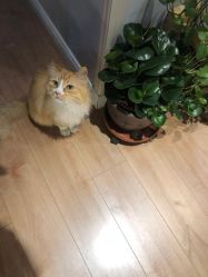 -沫儿·美甲美睫·半永久·皮肤管理