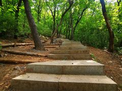 -沈阳辉山风景区