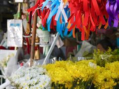 -瓦洛洛传统市场