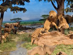 -国家自然博物馆