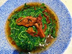 金花菜蚌肉-金典银峰老鹅馆·昆山菜(亭林公园店)