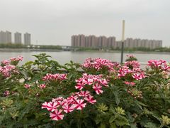 -翠山·映月湖景餐厅(映月湖公园店)