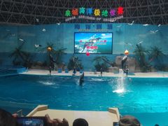 -泉城欧乐堡海洋极地世界