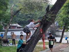 -阳台山自然风景区