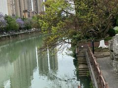 -成都市活水公园