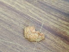 -虎子面粉馆(五一东村店)