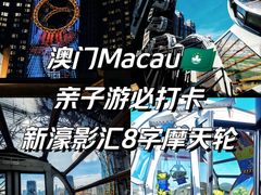 -影汇之星8字形摩天轮