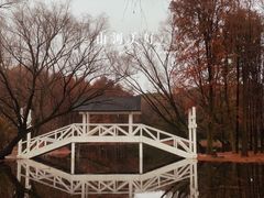 -上海共青森林公园