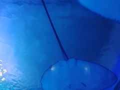 -乌鲁木齐海洋馆