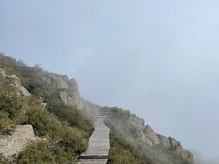 -白草畔自然风景区