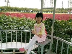 -广州花之恋城堡酒店