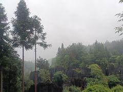 -梭布垭石林景区