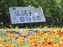 -紫云台香草园