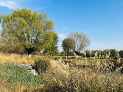 -汉长安城未央宫国家考古遗址公园