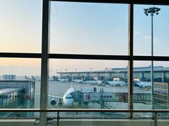 -青岛胶东国际机场