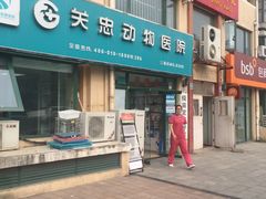 -瑞派·关忠动物医院·猫专科·犬专科(三环新城店)