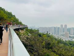 -板樟山森林公园