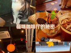 -咖法森林·咖啡  酒吧(天河店)