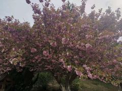 -石岛赤山风景区