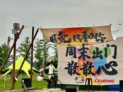 -枫林花海