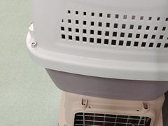-北京观赏动物医院·24小时大型综合·猫专科·异宠专科