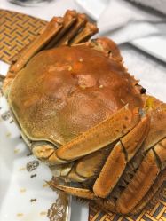 -泓瑞金陵大酒店·宴会厅