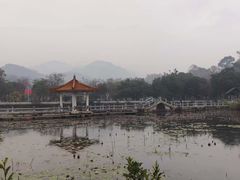 -红山村
