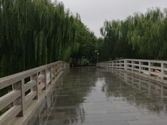 -大兴滨河森林公园