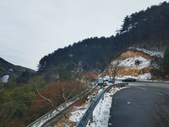 -四明山国家森林公园