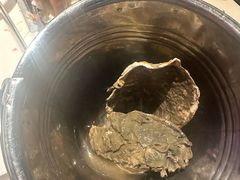 -聚盛源蒸汽海鲜火锅烤肉自助(巨川金海岸购物广场店)