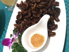 -海鲜码头