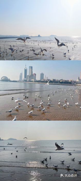 栈桥景区图片