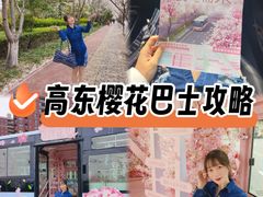 -高东镇樱花园