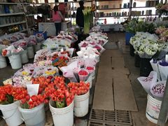 -秦美花卉(天朗·莱茵小城2期店)