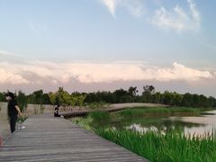 -东郊湿地公园