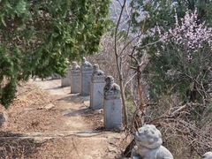 -北京鹫峰国家森林公园