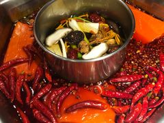 -蜀九香火锅(九眼桥店)