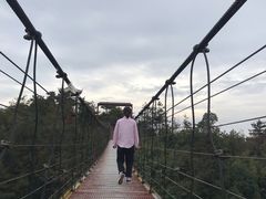 -玉苍山国家森林公园
