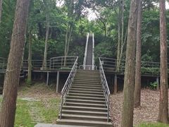 -上海月湖雕塑公园