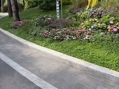 -云溪植物园