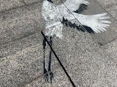 -盐城丹顶鹤湿地生态旅游区