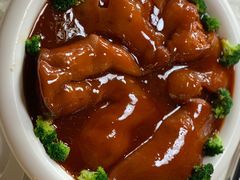 -丁老爷子苏香圆