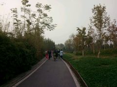 -白鹭湾湿地公园