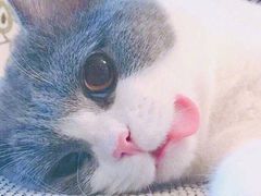 -象屿大宁悦府