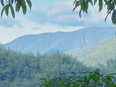 -东天目山风景区