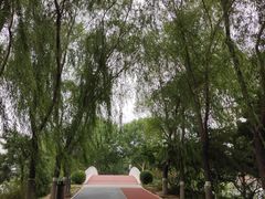 -大兴滨河森林公园