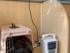-美联众合动物医院·24h京西诊疗中心