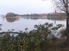 -长广溪湿地公园