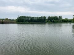 -苏州太湖国家湿地公园